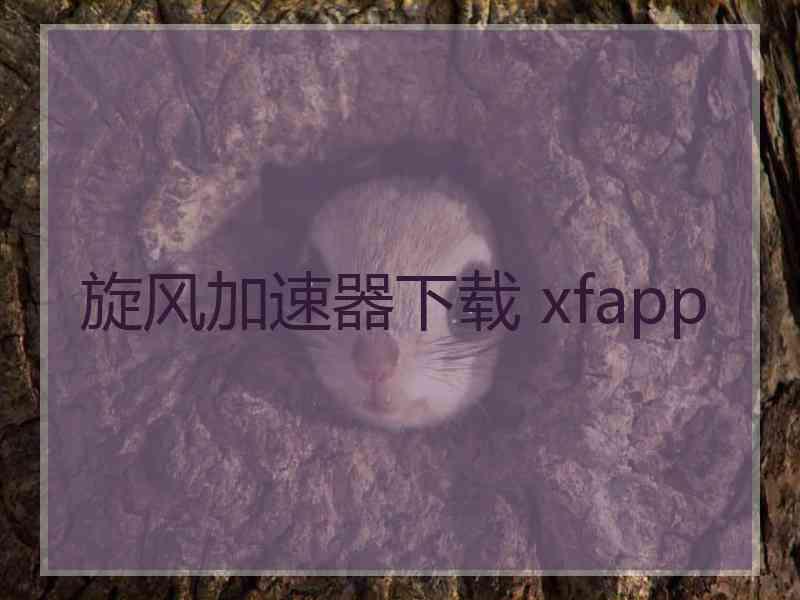 旋风加速器下载 xfapp 旋风加速器下载 xfapp