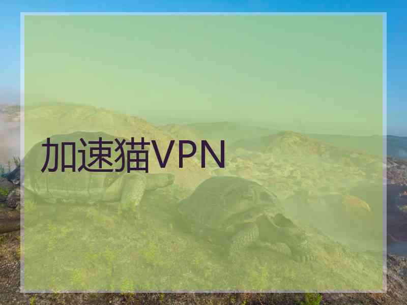 加速猫VPN 加速猫VPN