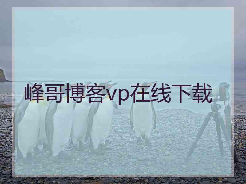 峰哥博客vp在线下载 峰哥博客vp在线下载