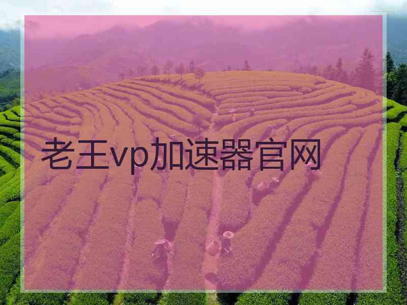 老王vp加速器官网 老王vp加速器官网