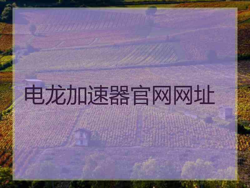 电龙加速器官网网址 电龙加速器官网网址