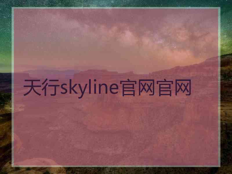 天行skyline官网官网