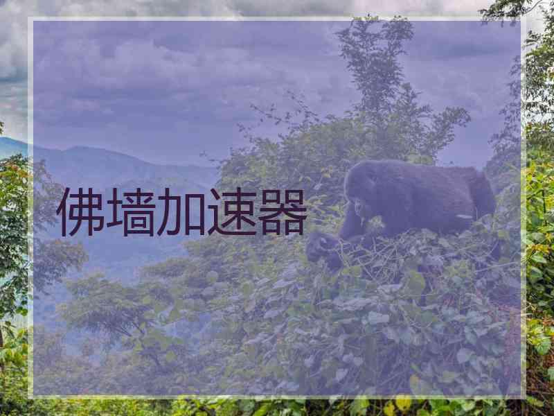 佛墙加速器 佛墙加速器