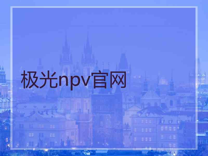 极光npv官网 极光npv官网