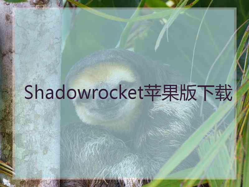 Shadowrocket苹果版下载