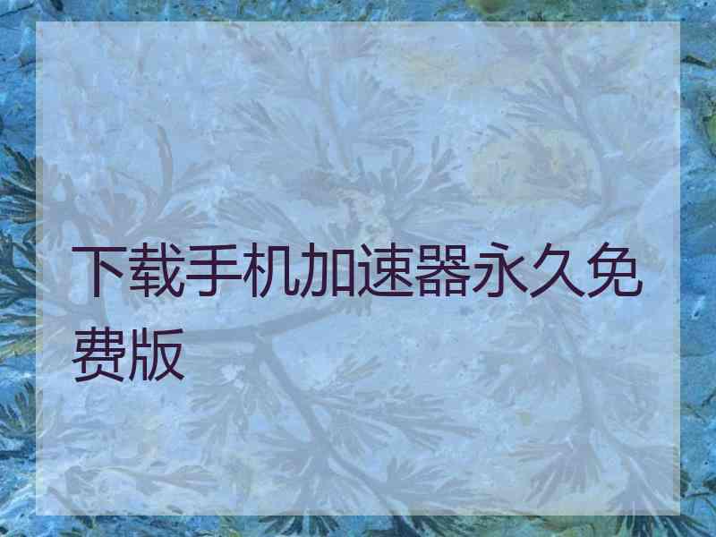 下载手机加速器永久免费版 下载手机加速器永久免费版