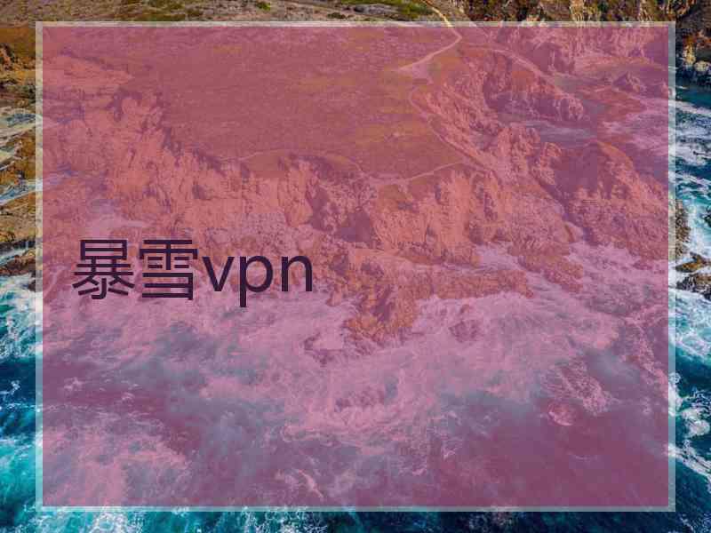 暴雪vpn 暴雪vpn