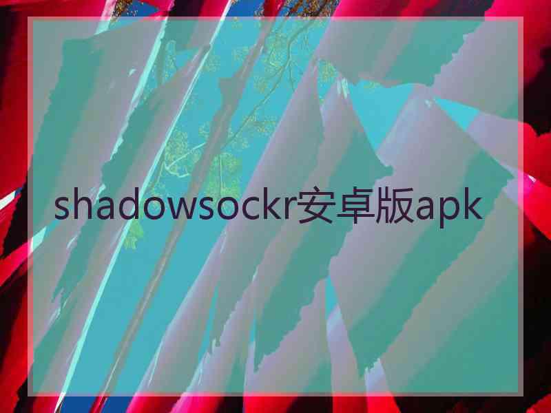 shadowsockr安卓版apk shadowsockr安卓版apk