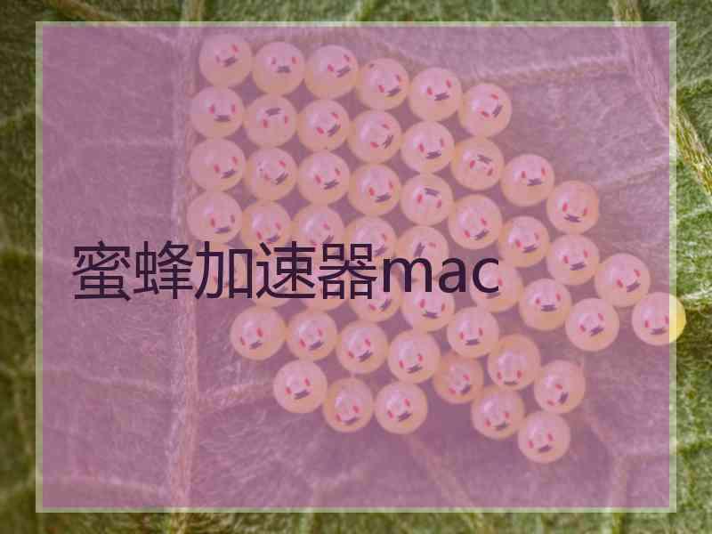 蜜蜂加速器mac