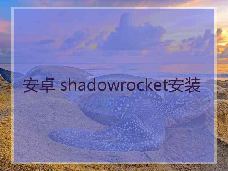 安卓 shadowrocket安装