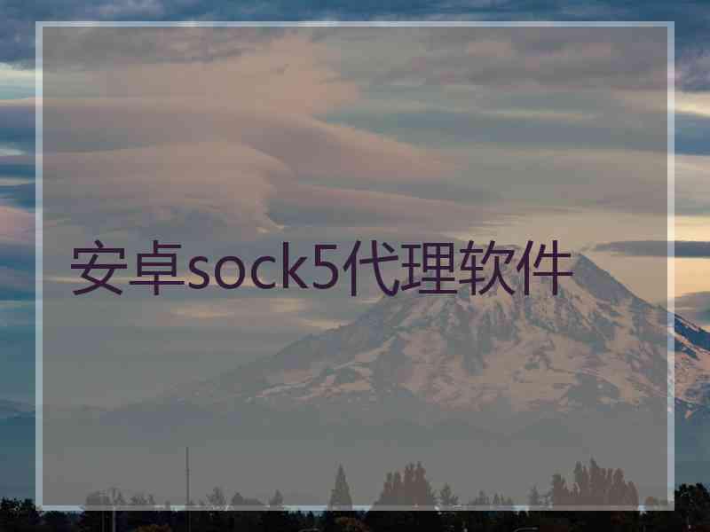 安卓sock5代理软件