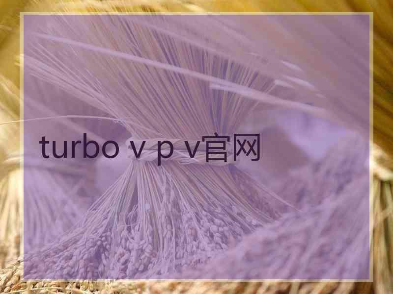 turbo v p v官网