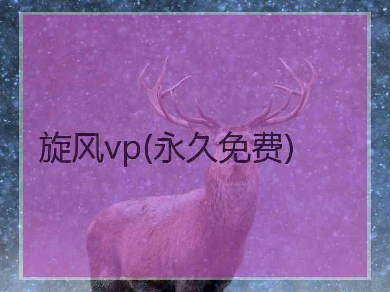 旋风vp(永久免费)