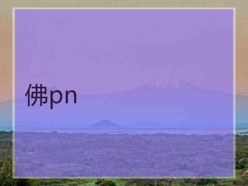 佛pn 佛pn