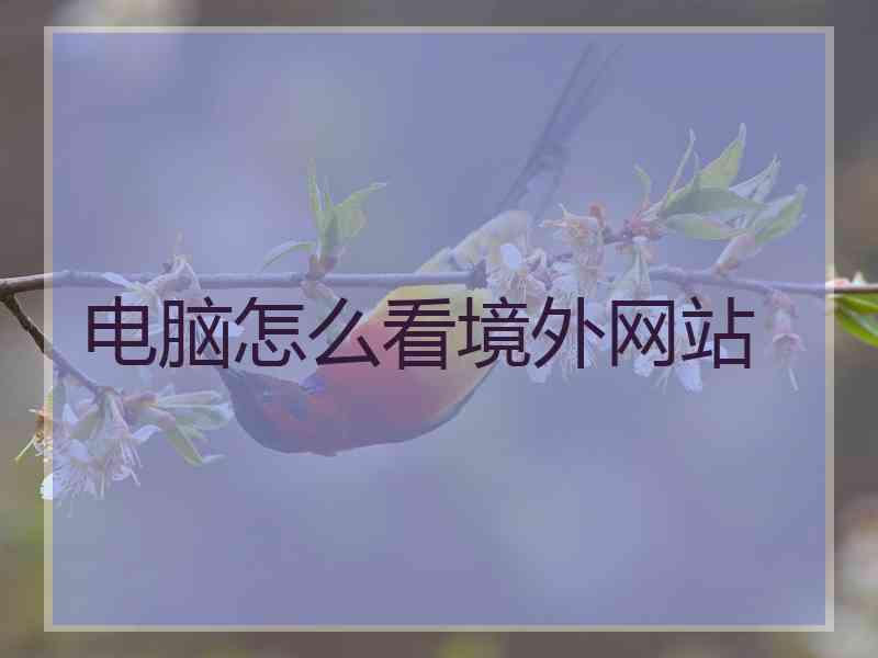 电脑怎么看境外网站