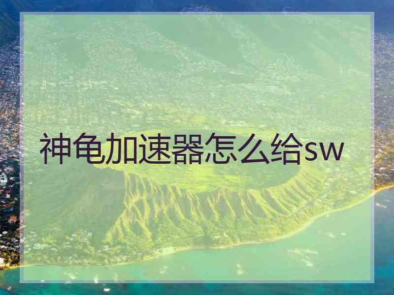 神龟加速器怎么给sw