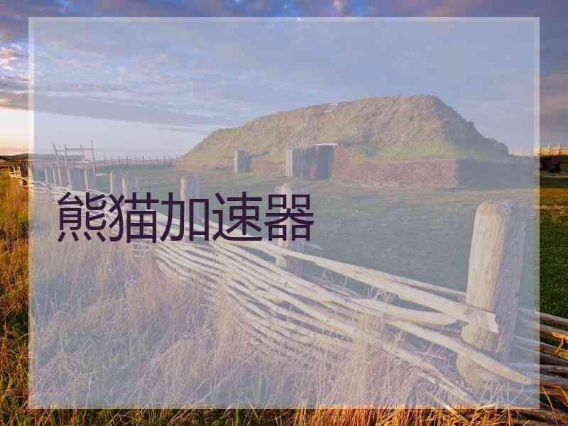 熊猫加速器