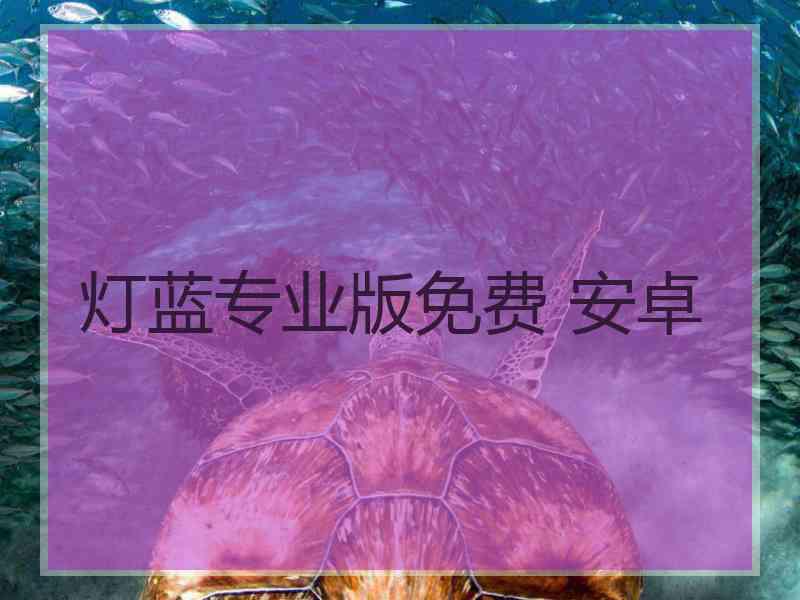 灯蓝专业版免费 安卓