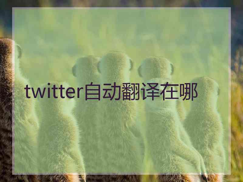 twitter自动翻译在哪