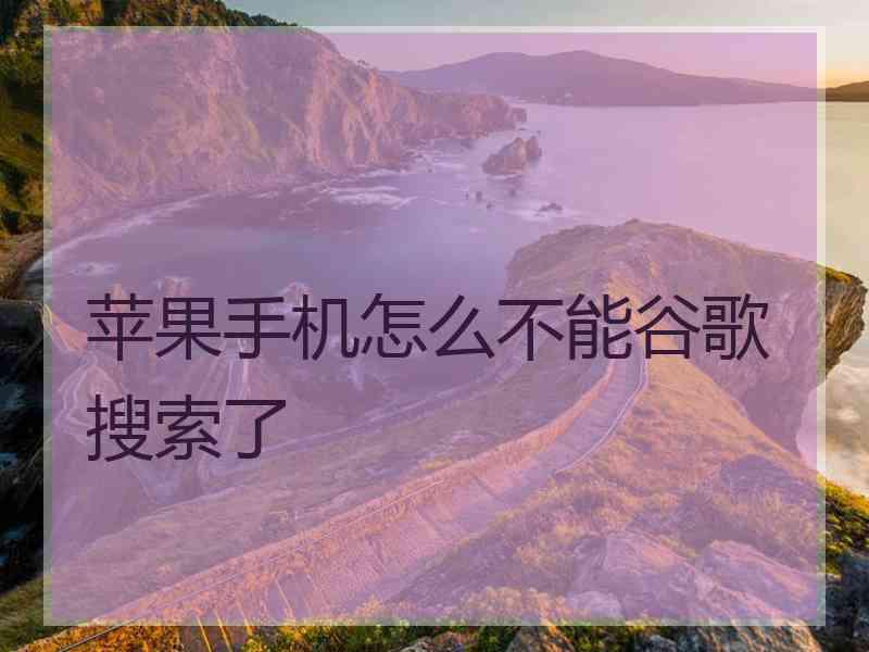 苹果手机怎么不能谷歌搜索了