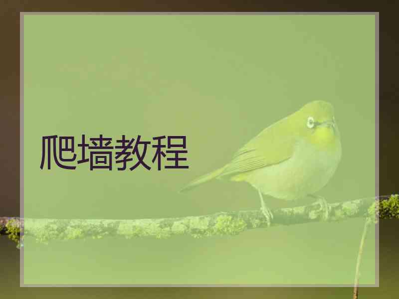 爬墙教程