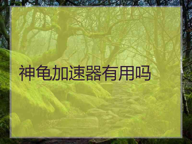 神龟加速器有用吗