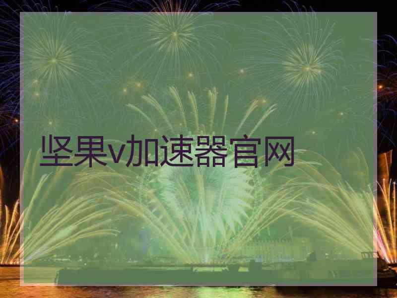 坚果v加速器官网
