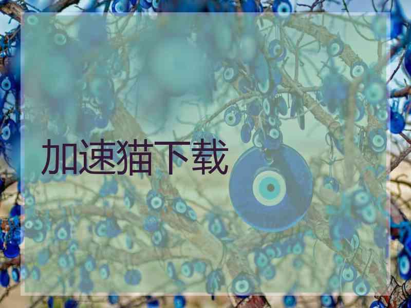 加速猫下载