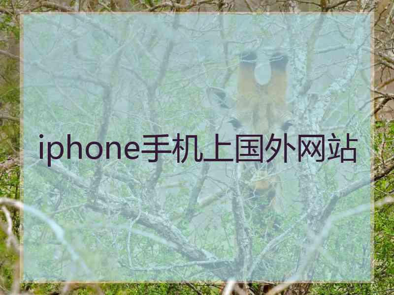 iphone手机上国外网站
