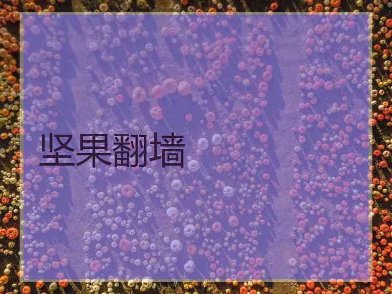 坚果翻墙