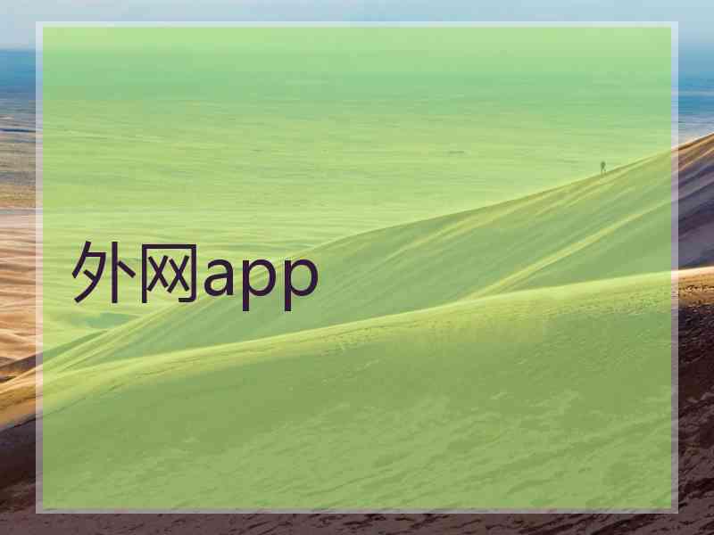 外网app
