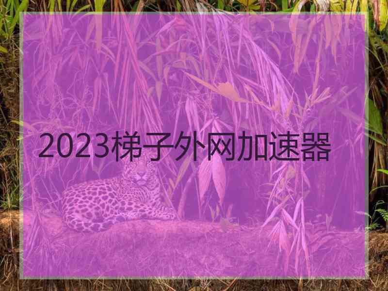 2023梯子外网加速器