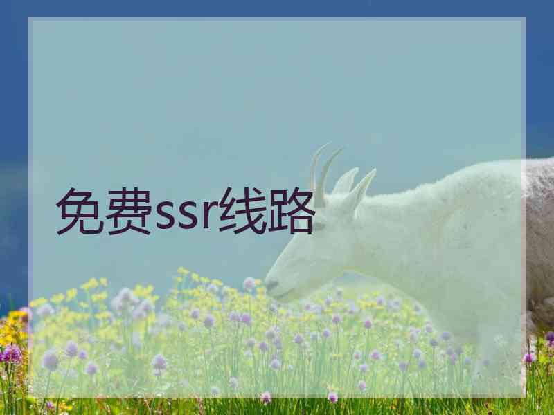 免费ssr线路