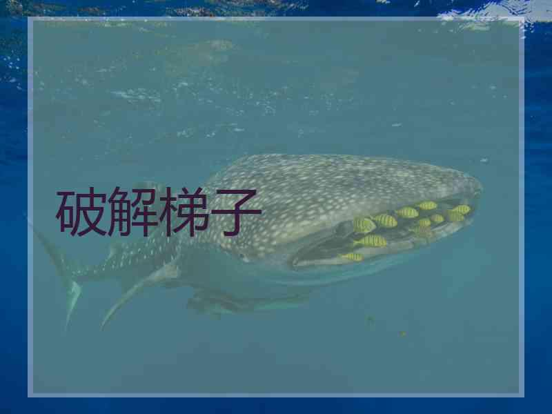 破解梯子