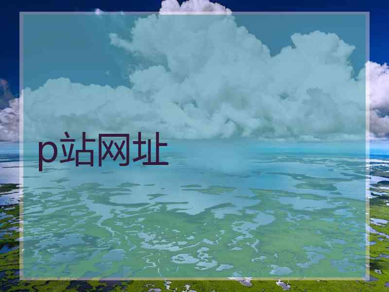 p站网址