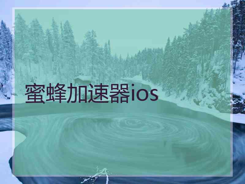 蜜蜂加速器ios