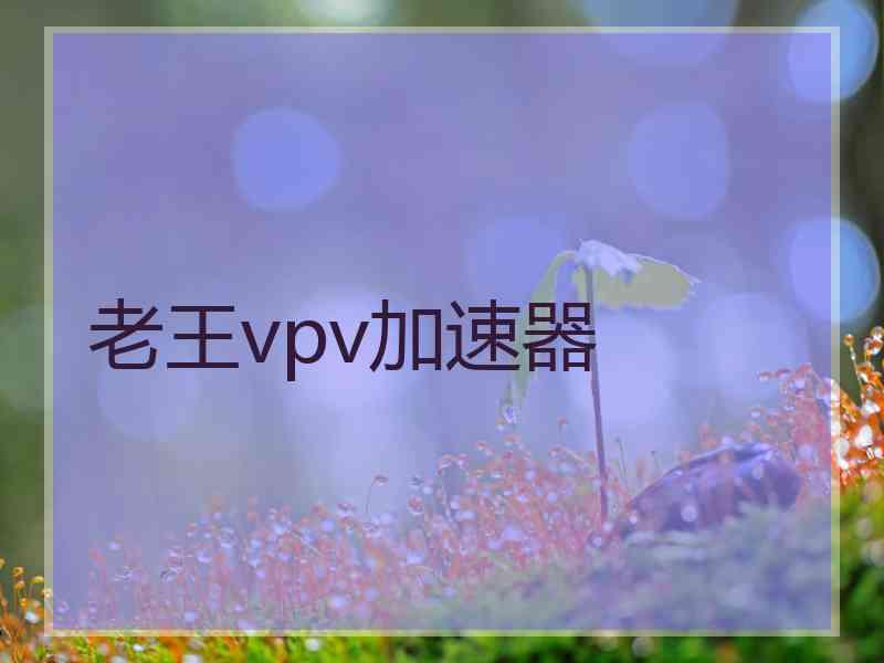 老王vpv加速器