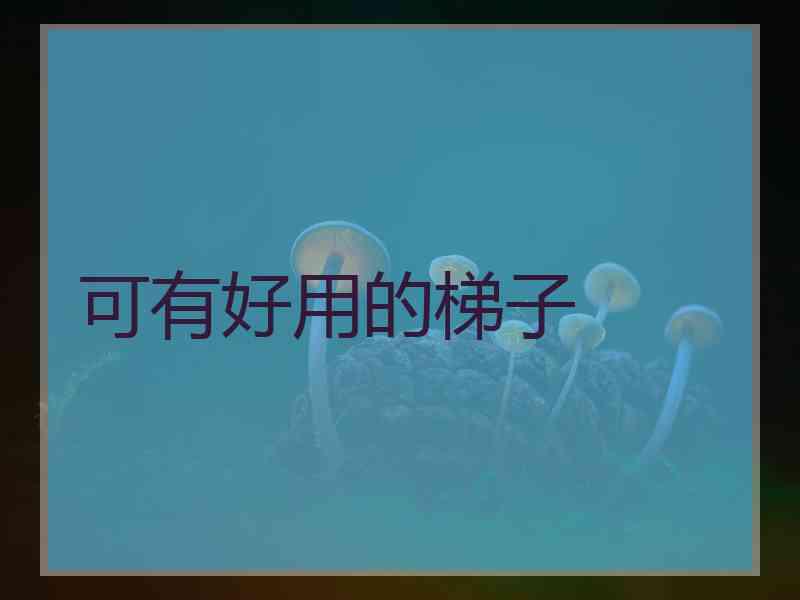 可有好用的梯子