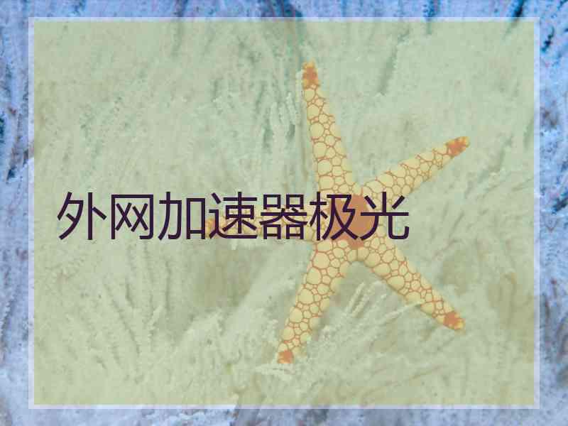 外网加速器极光