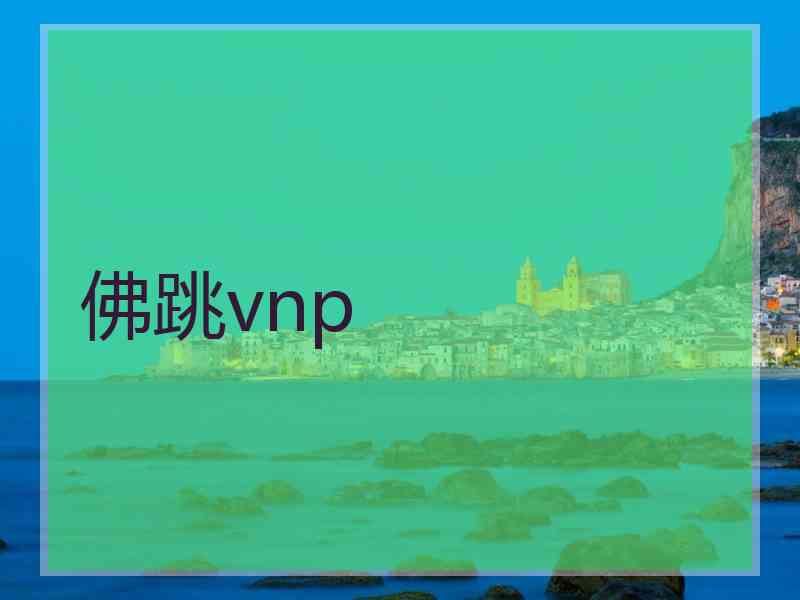 佛跳vnp