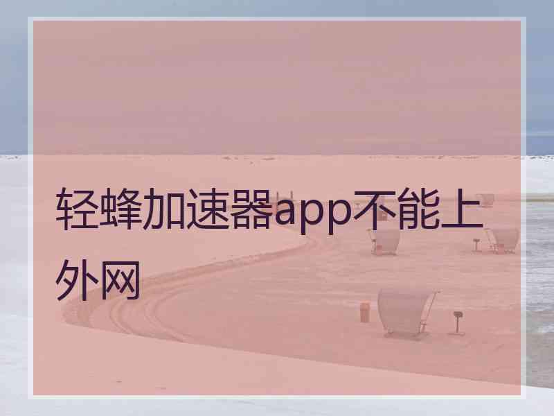 轻蜂加速器app不能上外网