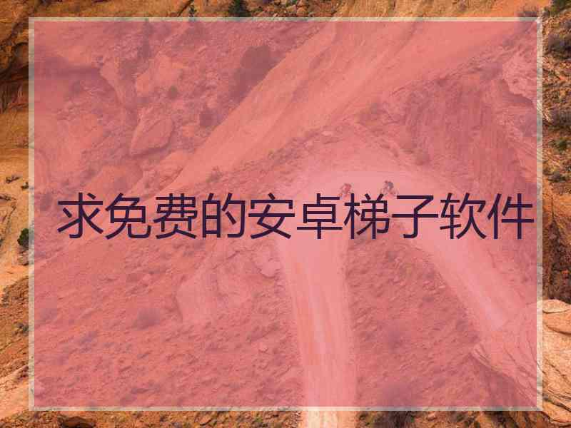 求免费的安卓梯子软件