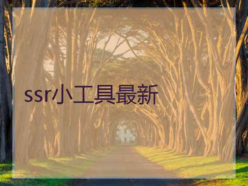 ssr小工具最新