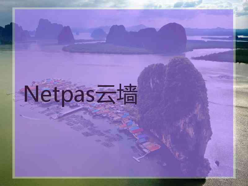 Netpas云墙