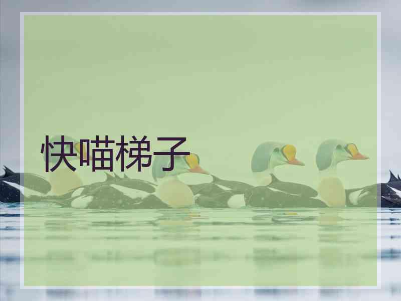 快喵梯子