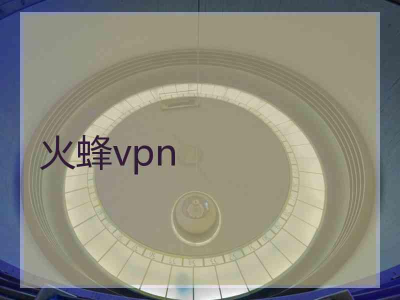 火蜂vpn