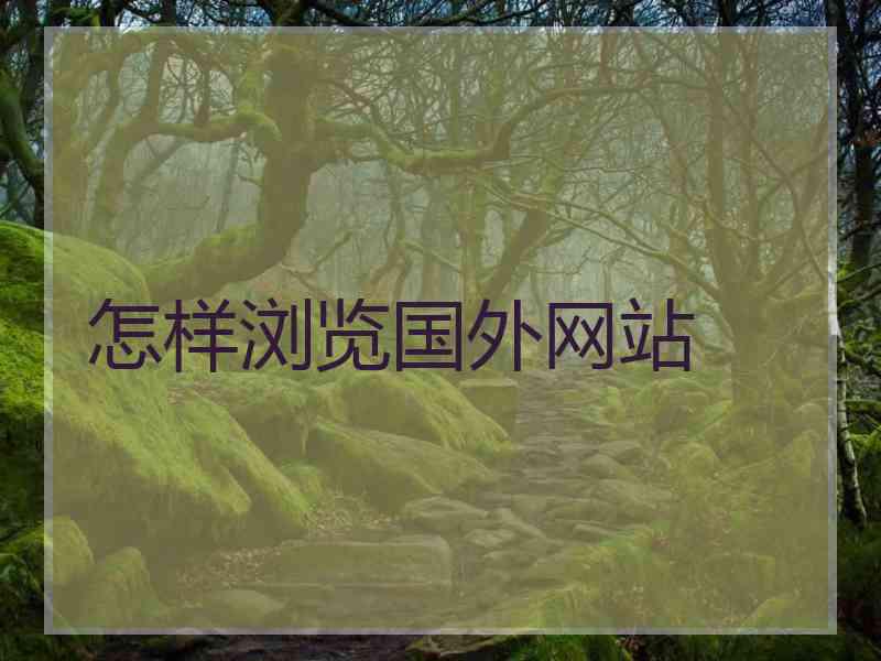 怎样浏览国外网站