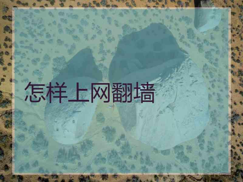 怎样上网翻墙