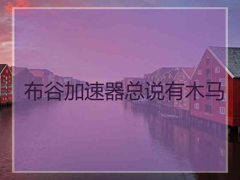 布谷加速器总说有木马