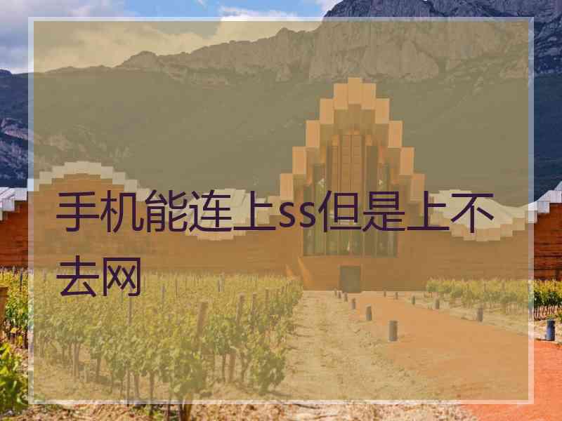 手机能连上ss但是上不去网